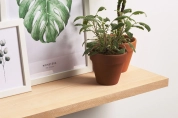 Noble-quality solid beech wood shelf