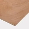 Plywood and multi-ply panel
