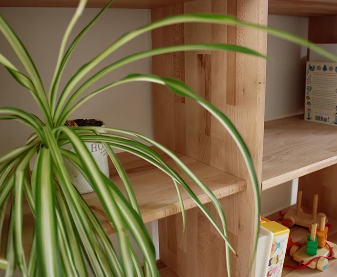 Custom bookcase with solid beech shelves